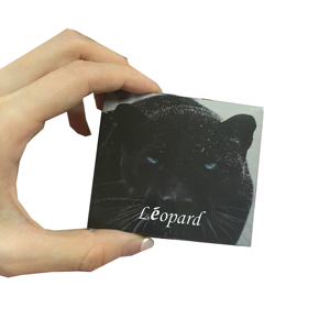 Free Design Paper Box Custom Logo Contact Lens Packaging